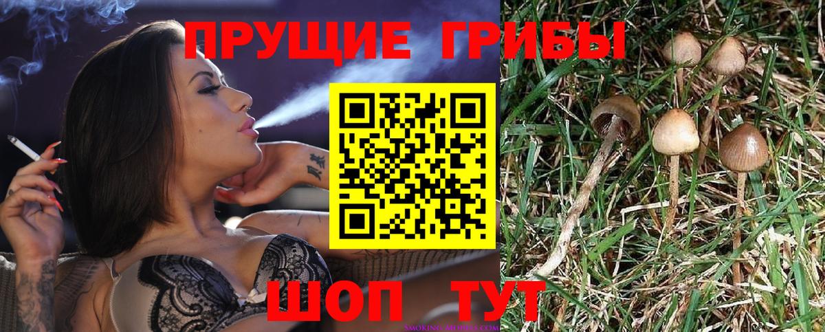 Псилоцибиновые грибы ЛСД  где купить наркоту  Галлюциногенные грибы Magic Shrooms  Серпухов  Вход с VPN 