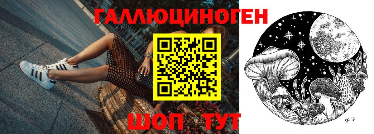 Псилоцибиновые грибы Psilocybe Серпухов